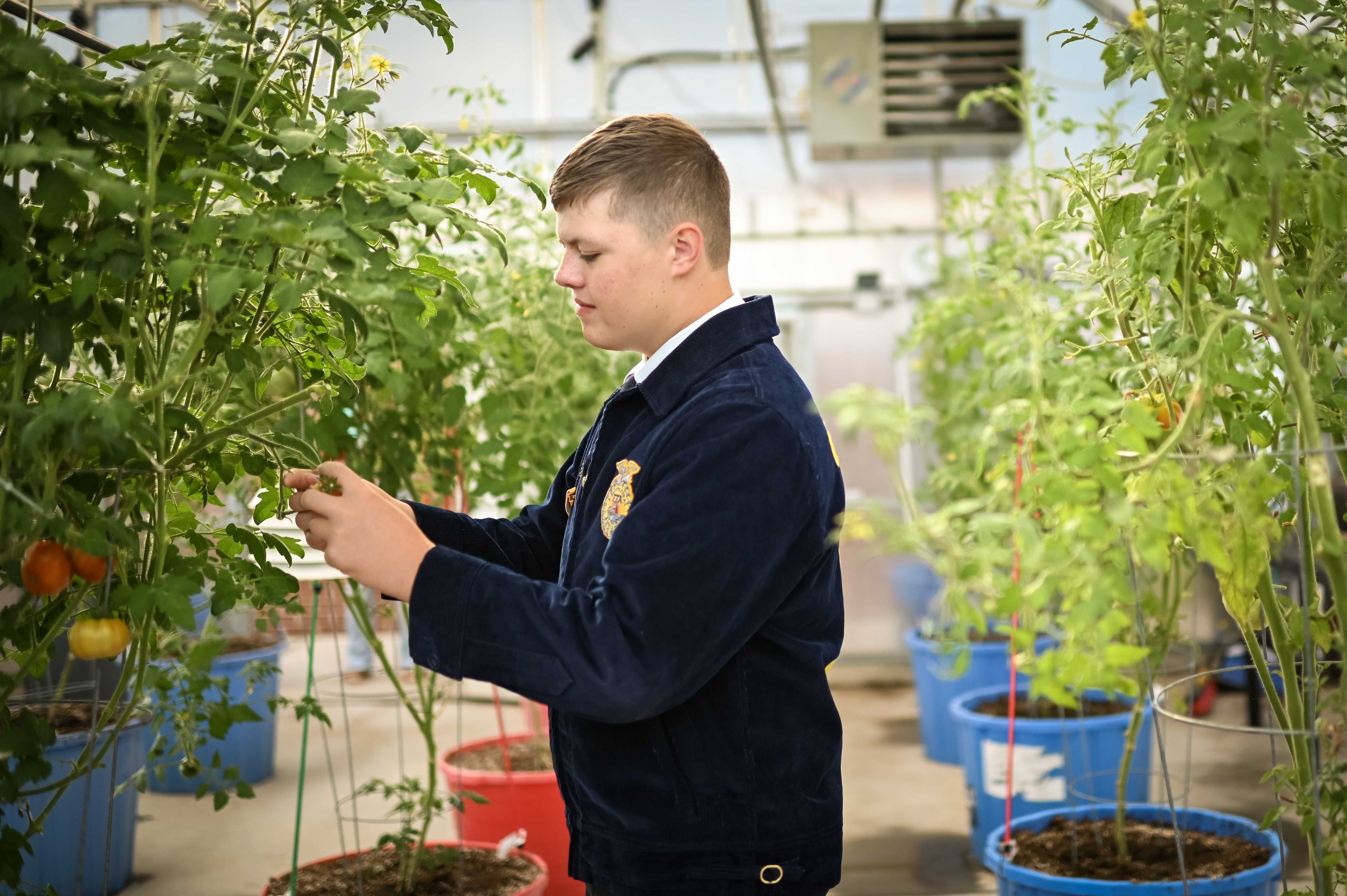 ffa greenhouse